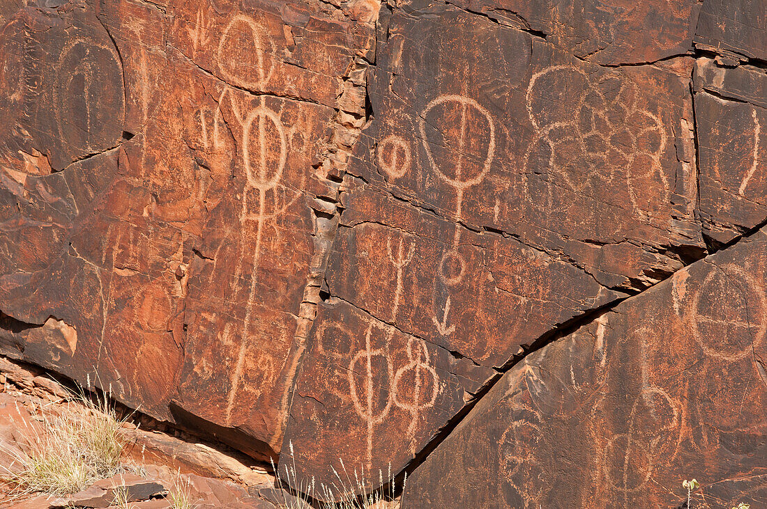 Aboriginal petroglyphs in Chambers Gorge, Flinders Ranges, South Australia, Australia