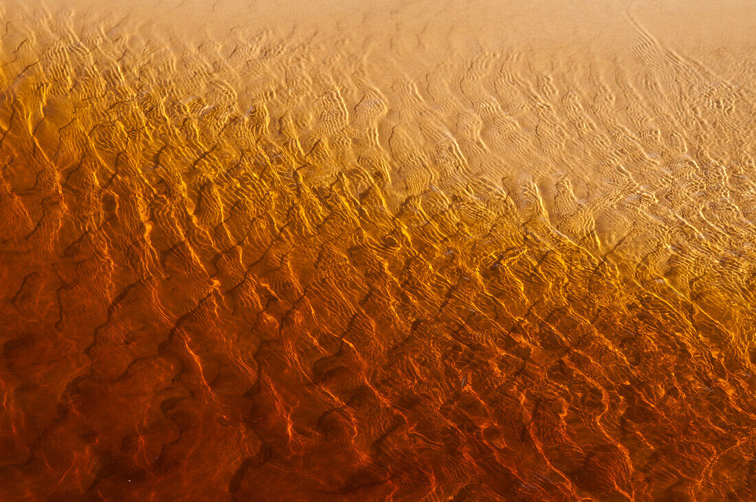 The tannin stained Shipwreck Creek, Croajingolong National Park, Victoria, Australia