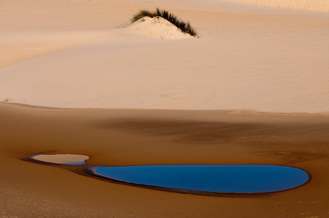 Sand dunes in the Cape Howe Wilderness, Croajingolong National Park, Victoria, Australia