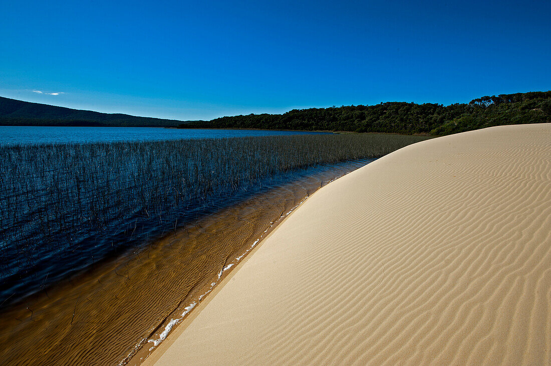 Lake Barracoota in the Cape Howe Wilderness, Croajingolong National Park, Victoria, Australia