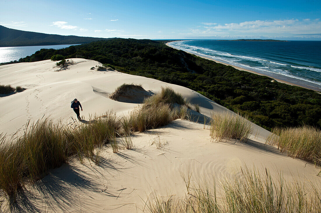 Sand dunes in the Cape Howe Wilderness, Croajingolong National Park, Victoria, Australia