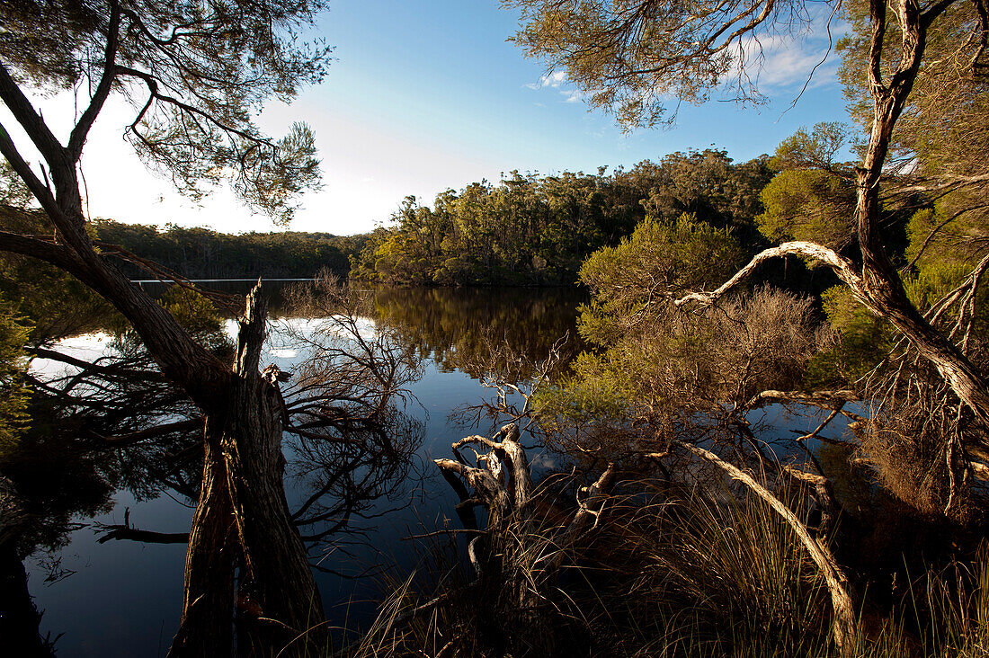 Mallacoota Inlet mit Spiegelung, Croajingolong Nationalpark, Victoria, Australien