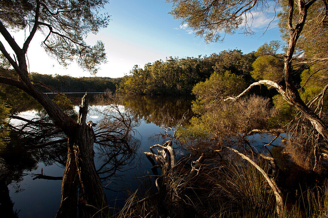 Mallacoota Inlet with reflection, Croajingolong National Park, Victoria, Australia