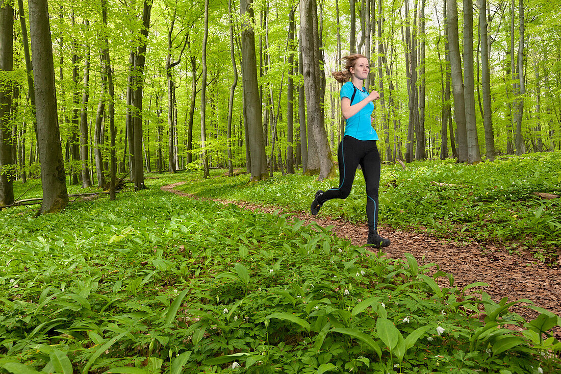 Young woman jogging in a beech forest, National Park Hainich, Thuringia, Germany