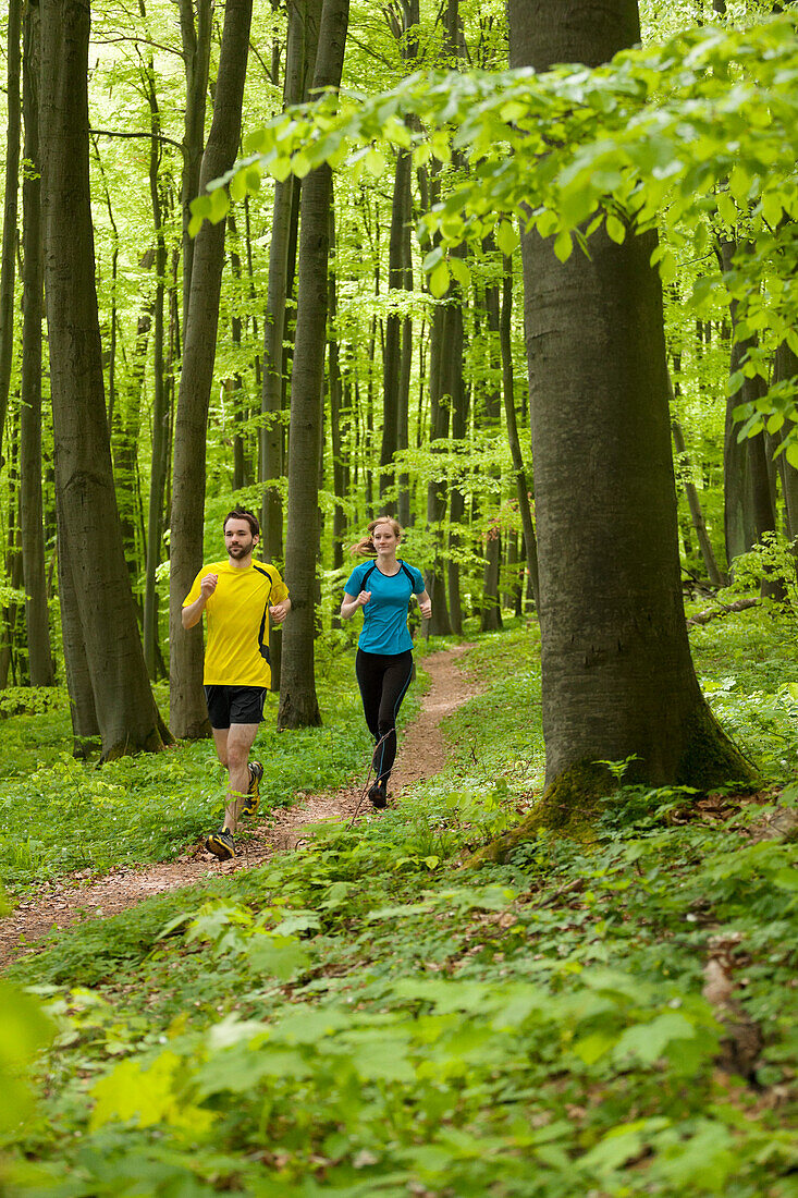 Junges Paar joggt im Buchenwald, Nationalpark Hainich, Thüringen, Deutschland