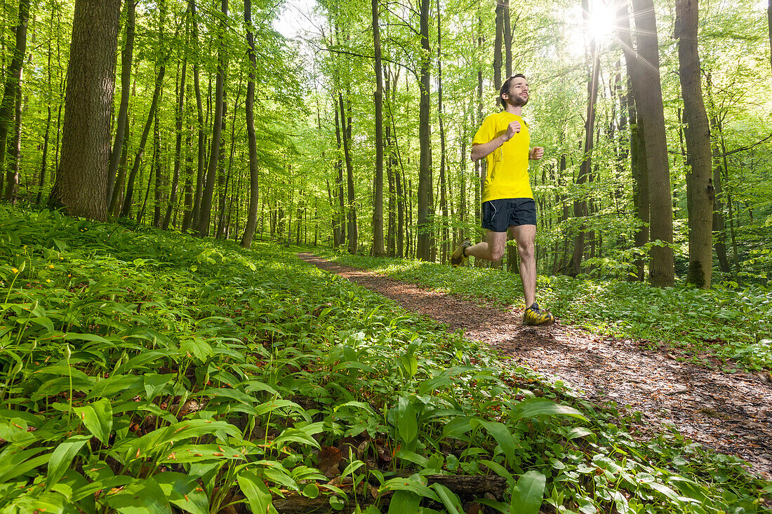 Junger Mann joggt in einem Buchenwald, Nationalpark Hainich, Thüringen, Deutschland