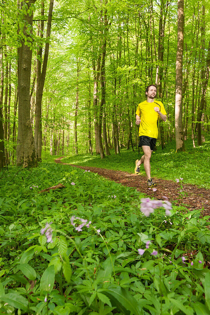 Young man jogging in beech forest, National Park Hainich, Thuringia, Germany