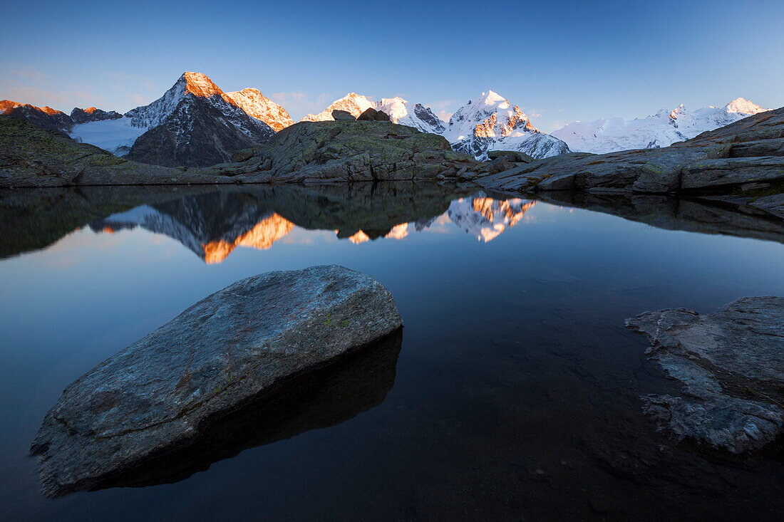 Alpenglühen auf Gipfel der Berninagruppe, Spiegelung in einem Bergsee oberhalb des Rosegtales, Engadin, Kanton Graubündne, Schweiz