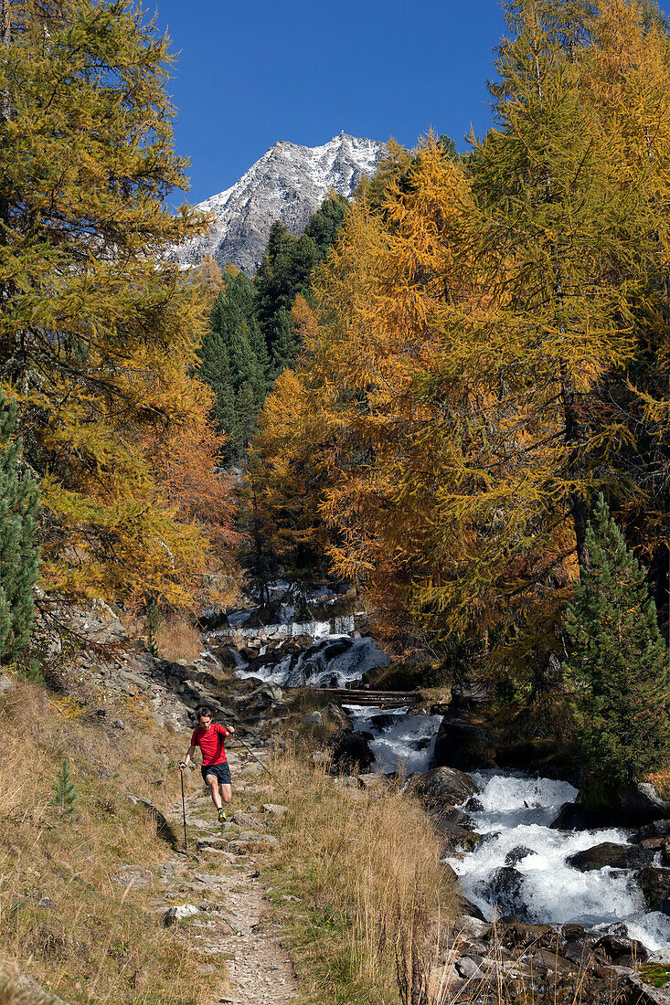 Young man running on a trail in Zay Valley, Stelvio National Park, South Tyrol, Italy