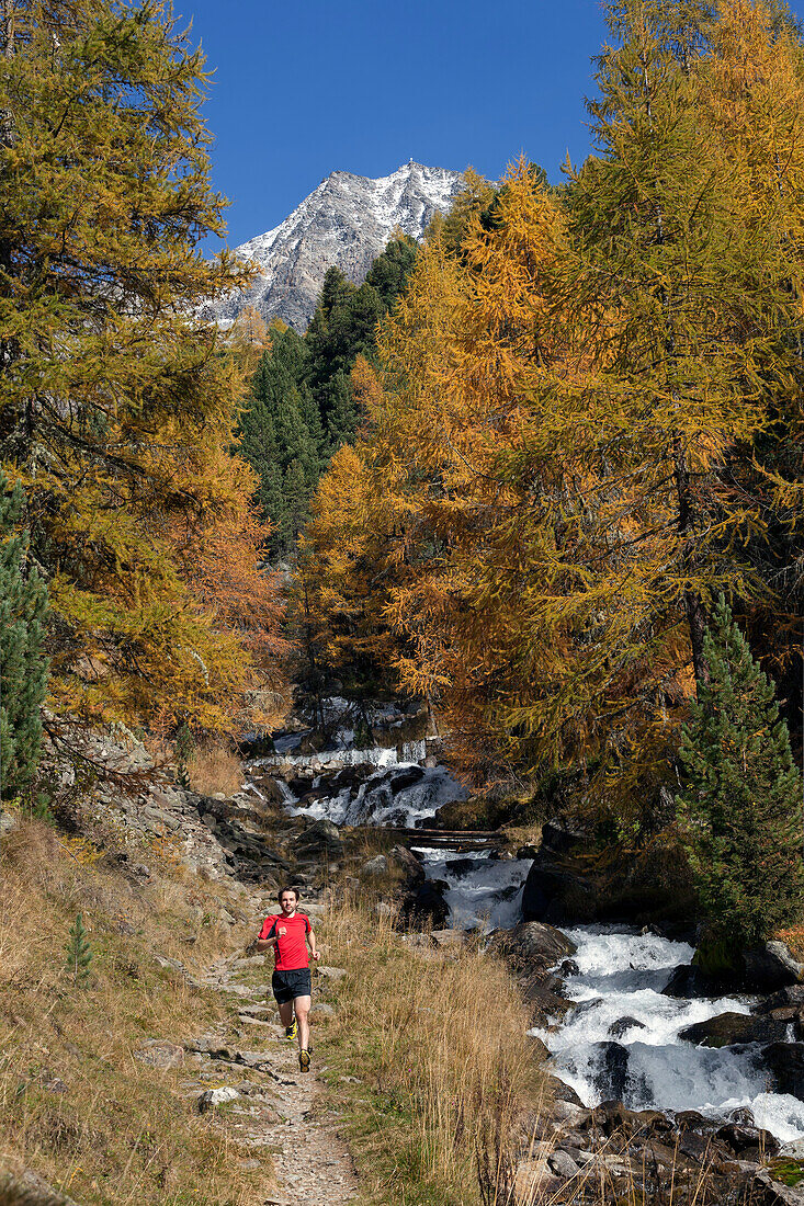 Young man running on a trail in Zay valley, Stelvio National Park, South Tyrol, Italy