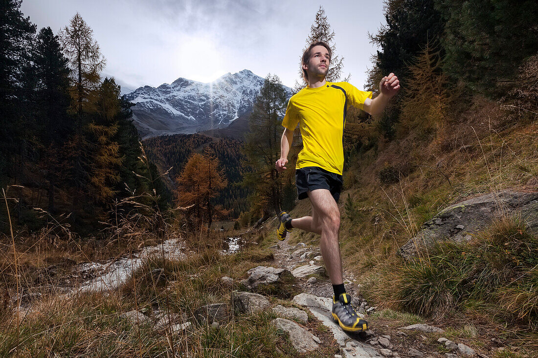 Young man running on a trail, Zay valley, Ortler in the background, Stelvio National Park, South Tyrol, Italy