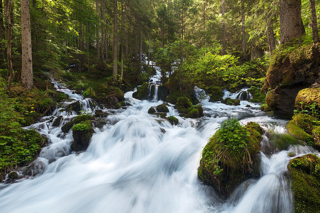 Klaffer source in spring, Wildalpen, Hochschwab, Styria, Austria