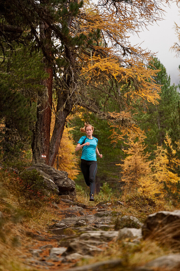 Young woman running on a trail through a forest with larch trees in autumn, Stelvio National Park, South Tyrol, Italy