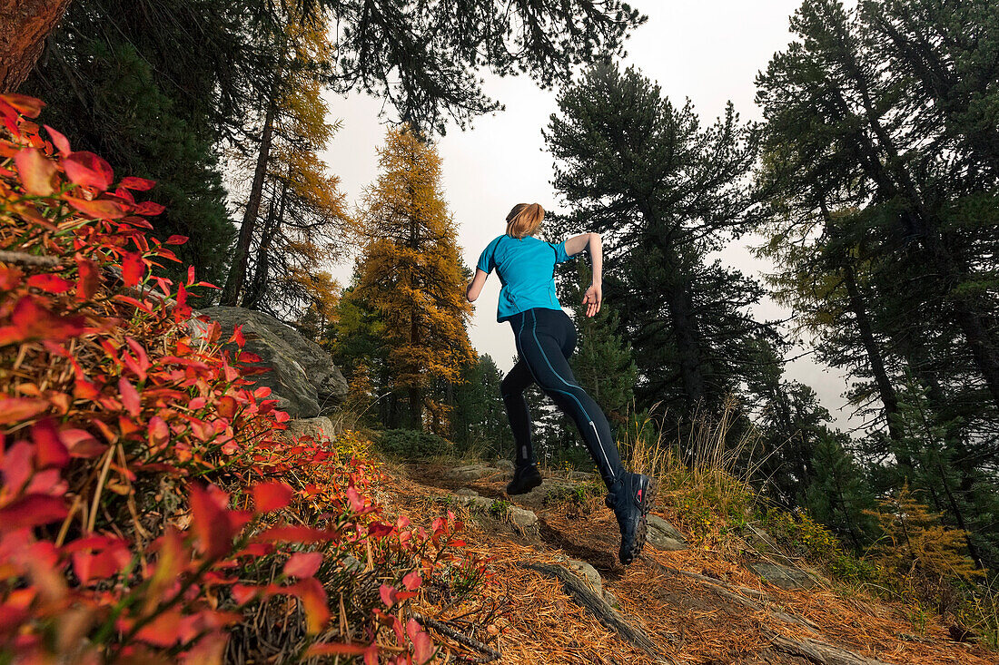 Junge Frau läuft auf einem Wanderweg im Wald, Nationalpark Stilfser Joch, Südtirol, Italien