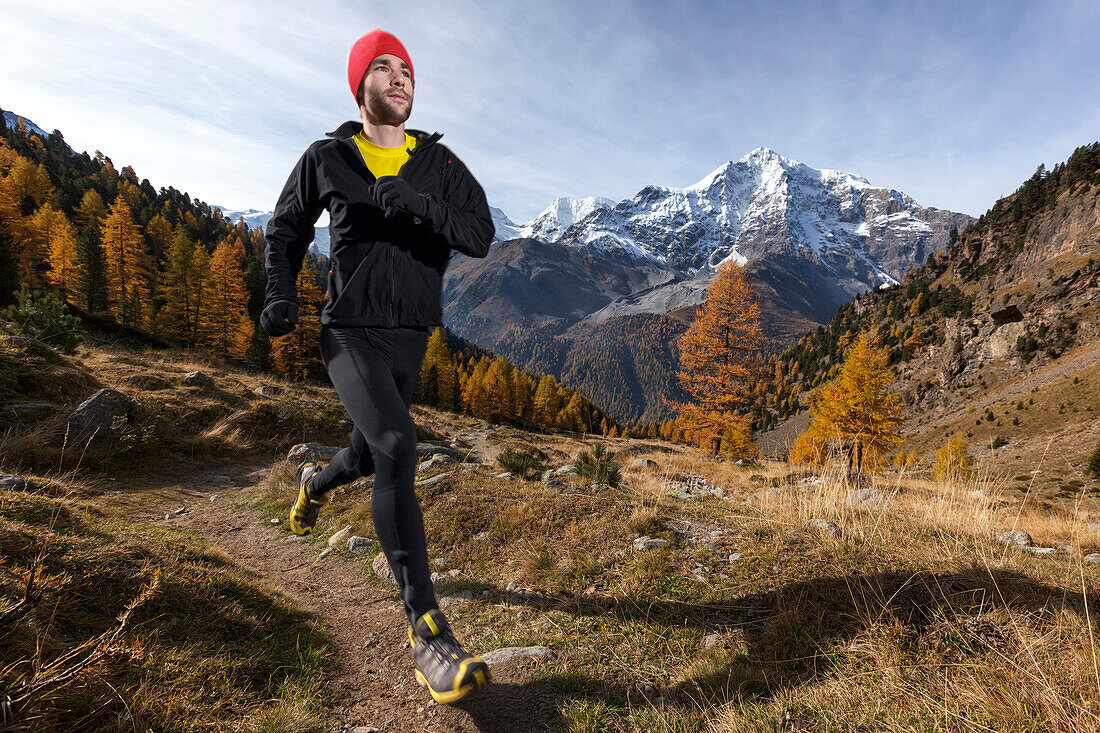 Young man running on a trail in Zay valley, Ortler in the background, Stelvio National Park, South Tyrol, Italy