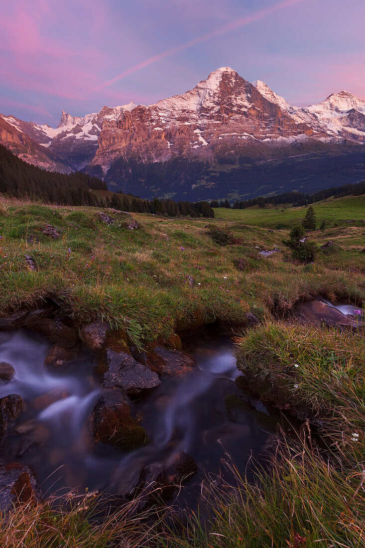 View over a mountain pasture with stream to Finstaarhorn, Eiger, Monch and Jungfrau, Grindelwald, Bernese Oberland, Switzerland