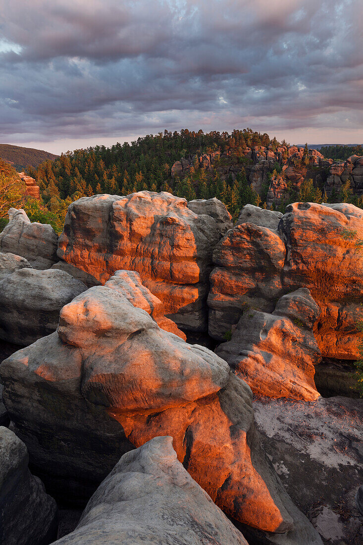 Carolafelsen im Abendlicht, Nationalpark Sächsische Schweiz, Sachsen, Deutschland