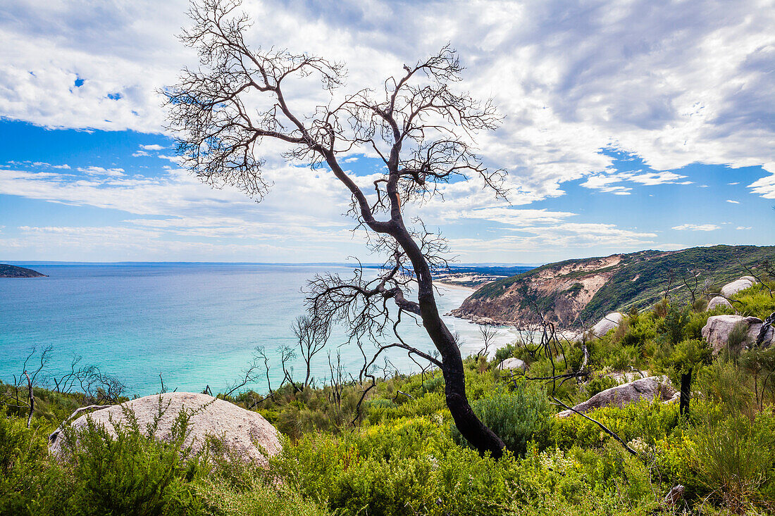 Küstenlandschaft, Fairy Cove, Wilsons Promontory, Victoria, Australien