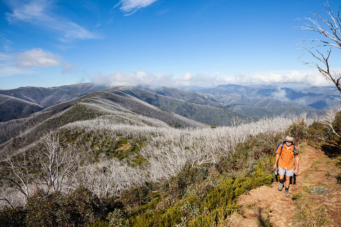 Hiker ascending to the Mount Feathertop, Alpine National Park, Victoria, Australia