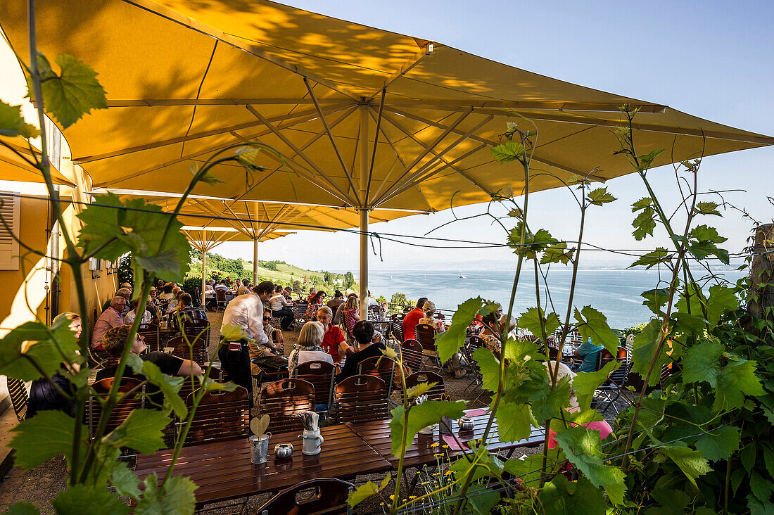 Restaurant and panoramic view, Meersburg, Lake Constance, Baden-Württemberg, Germany