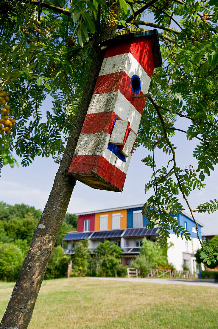 Bird house with passive house in the background, Freiburg im Breisgau, Black Forest, Baden-Würtemberg, Germany