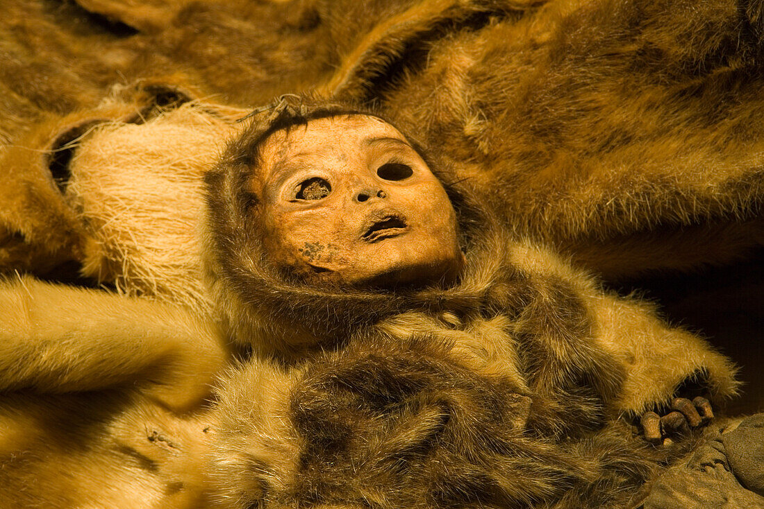 Mumie eines Kind der Qilakitsoq im Grönländischen Nationalmuseum, Nuuk (Godthab), Kitaa, Grönland, Europa