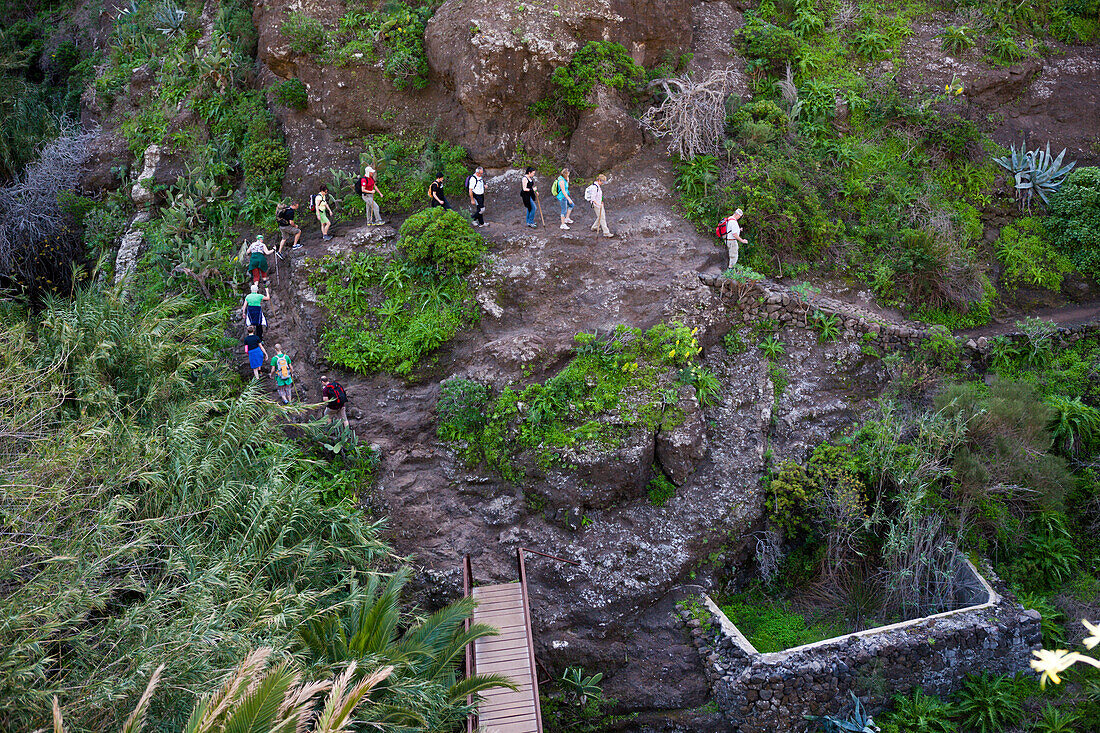 Tourists hiking through Masca Gorge, Tenerife, Canary Islands, Spain