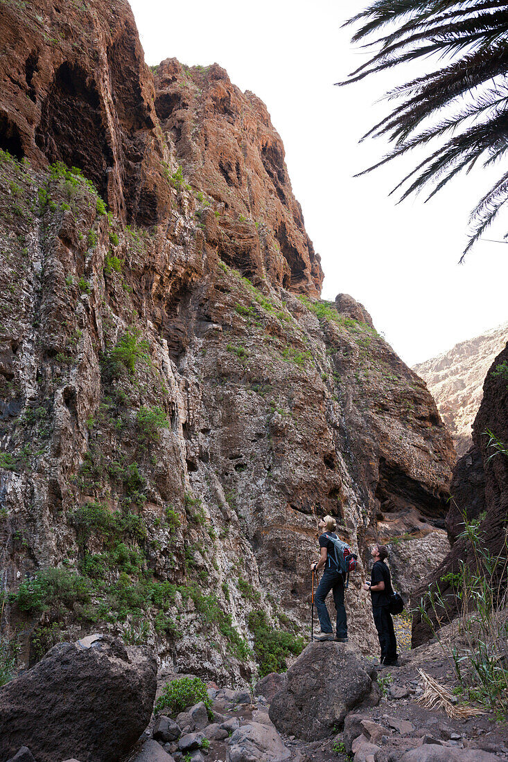 Wandern durch die Masca Schlucht, Teneriffa, Kanaren, Spanien