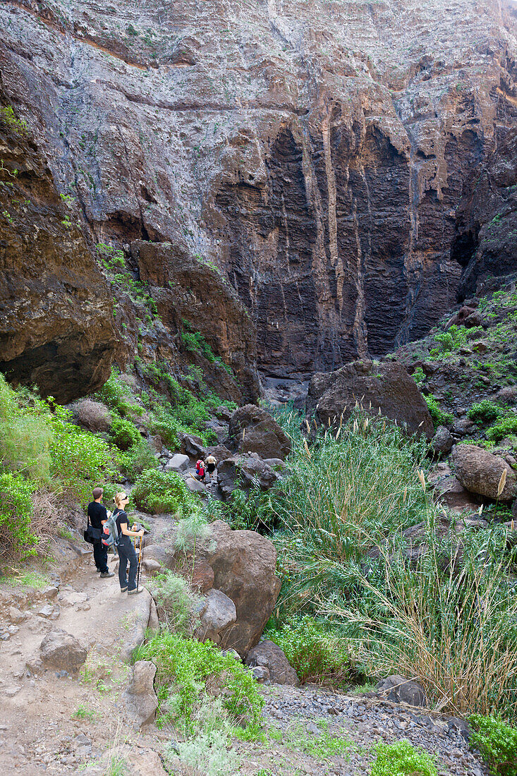 Wandern durch die Masca Schlucht, Teneriffa, Kanaren, Spanien