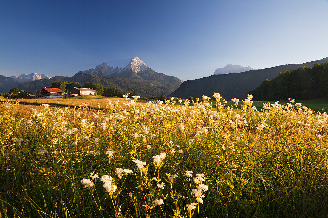 Farm in front of Watzmann and Hochkalter, Berchtesgaden region, Berchtesgaden National Park, Upper Bavaria, Germany