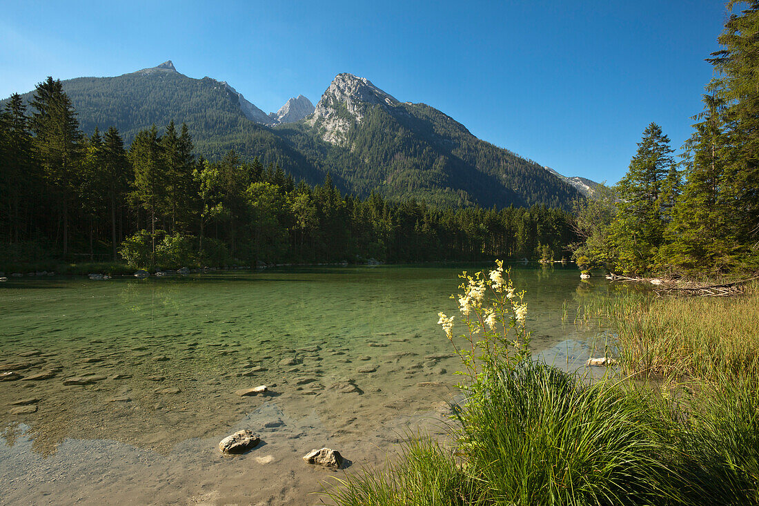 Hintersee, view to Hochkalter, near Ramsau, Berchtesgaden region, Berchtesgaden National Park, Upper Bavaria, Germany