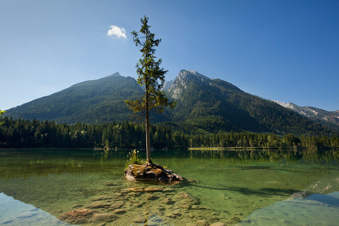 Hintersee mit Blick zum Hochkalter, Ramsau, Berchtesgadener Land, Nationalpark Berchtesgaden, Oberbayern, Bayern, Deutschland