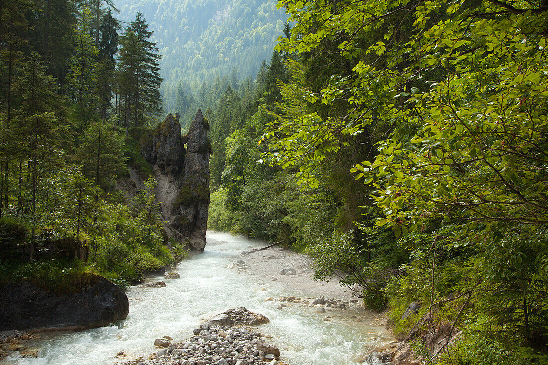 Wimbach valley, near Ramsau, Berchtesgaden region, Berchtesgaden National Park, Upper Bavaria, Germany