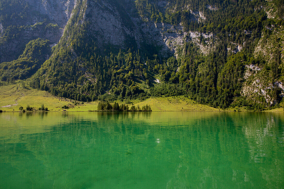 near Salet at the southern part of Koenigssee, Berchtesgaden region, Berchtesgaden National Park, Upper Bavaria, Germany