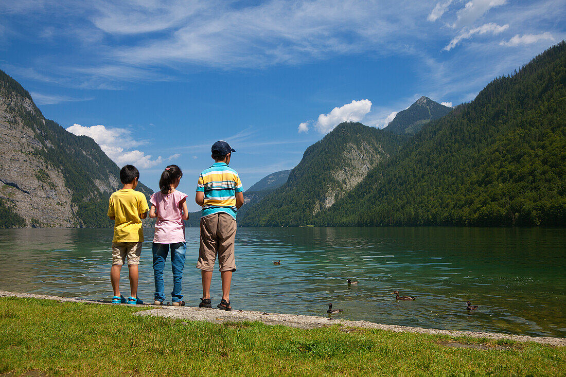 Children feeding ducks, Koenigssee, Berchtesgaden region, Berchtesgaden National Park, Upper Bavaria, Germany