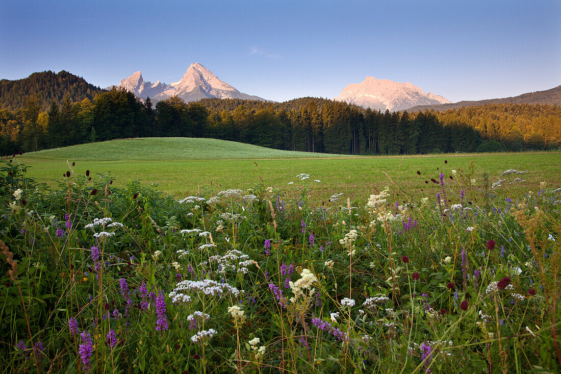 Watzmann and Hochkalter in the morning light, Berchtesgaden region, Berchtesgaden National Park, Upper Bavaria, Germany