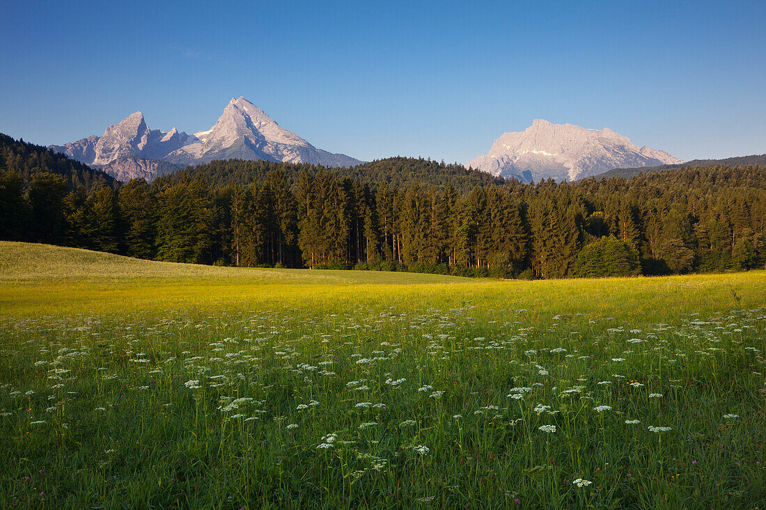 Watzmann and Hochkalter in the morning light, Berchtesgaden region, Berchtesgaden National Park, Upper Bavaria, Germany