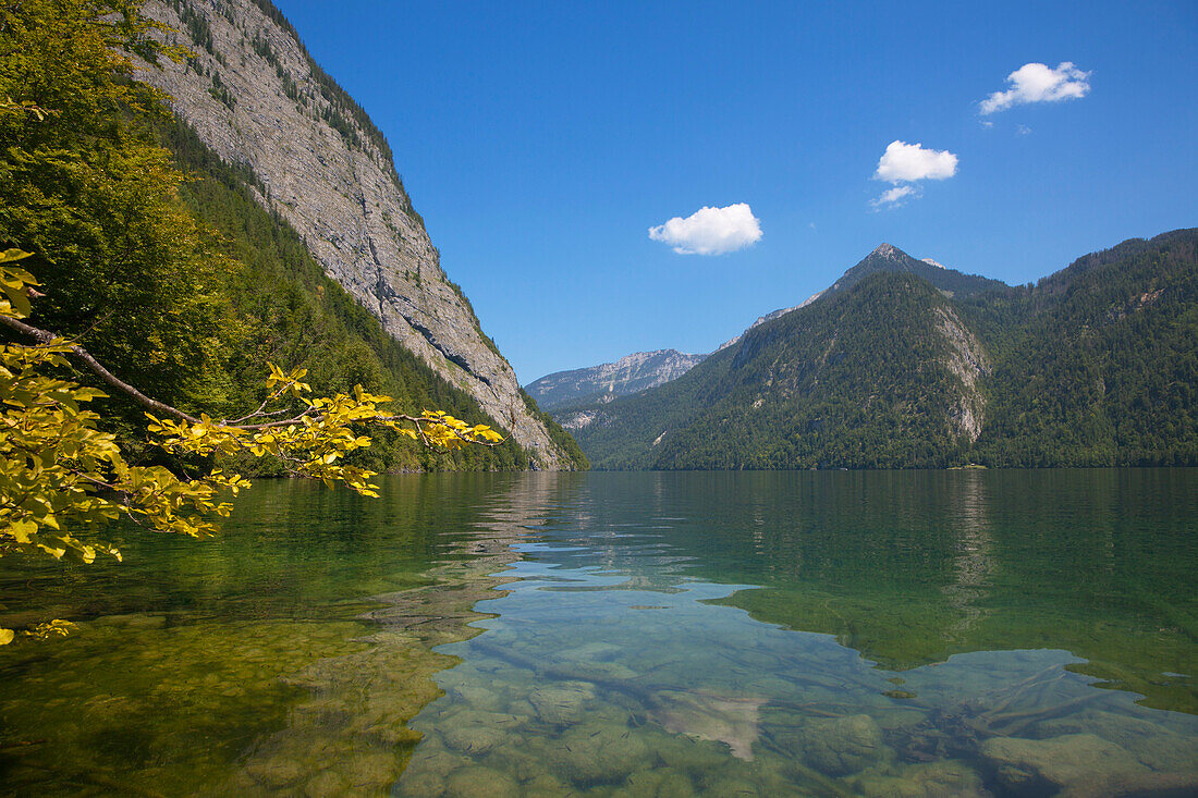 Blick über den Königssee, Berchtesgadener Land, Nationalpark Berchtesgaden, Oberbayern, Bayern, Deutschland