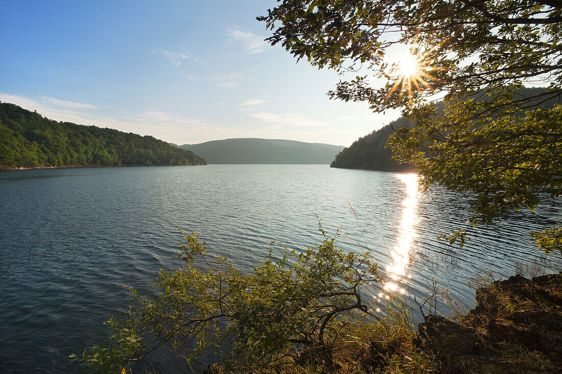 Blick auf den Rur-Stausee, Nationalpark Eifel, Eifelsteig, Eifel, Nordrhein-Westfalen, Deutschland