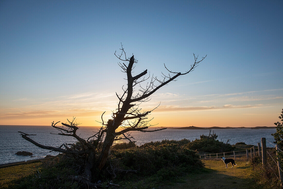 Sunset Over Annet Island Viewed From St Mary's, Isles Of Scilly, Cornwall, Uk, Europe