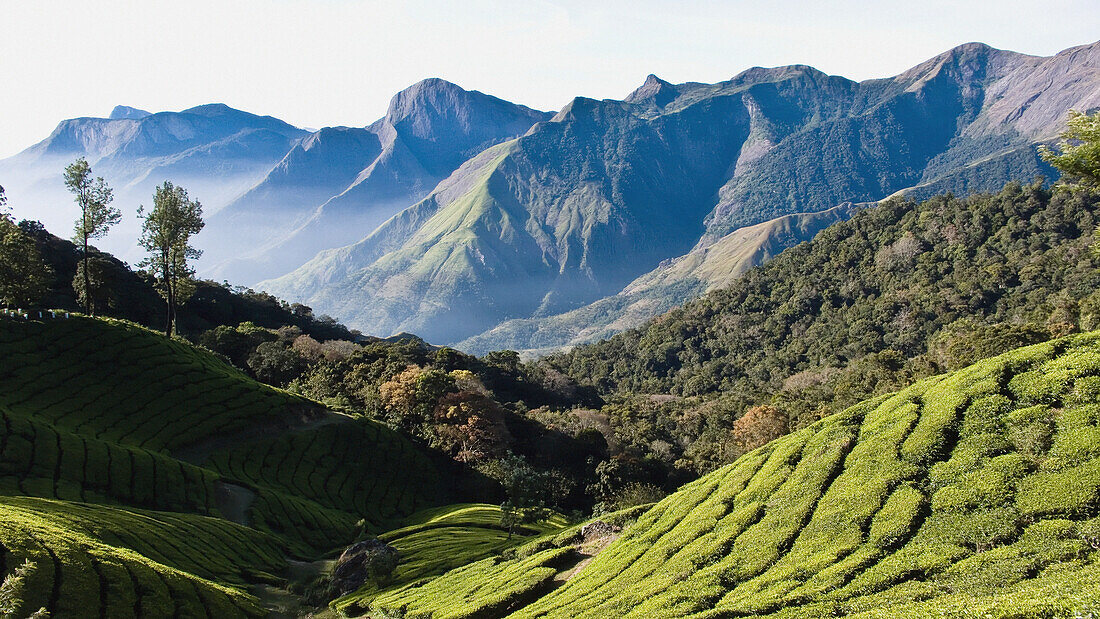 Sunrise Over The Majestic Western Ghats And The Theni Valley, Top Station, Kerala, India