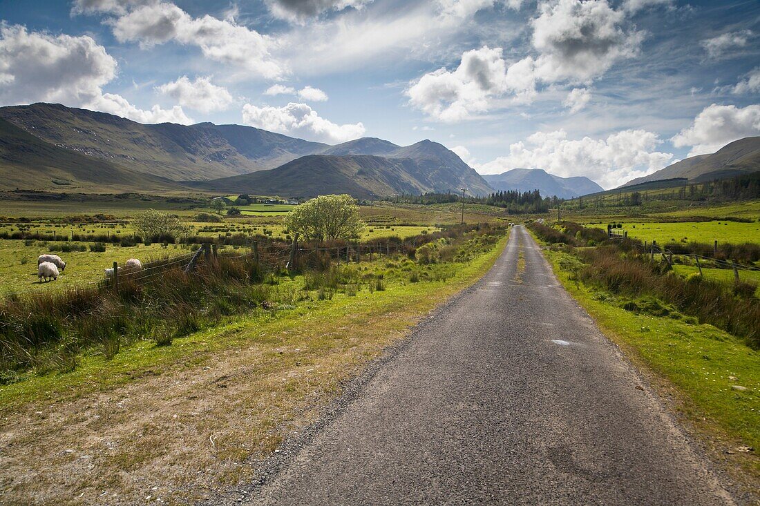 Narrow road in Connemara County Mayo Ireland Europe