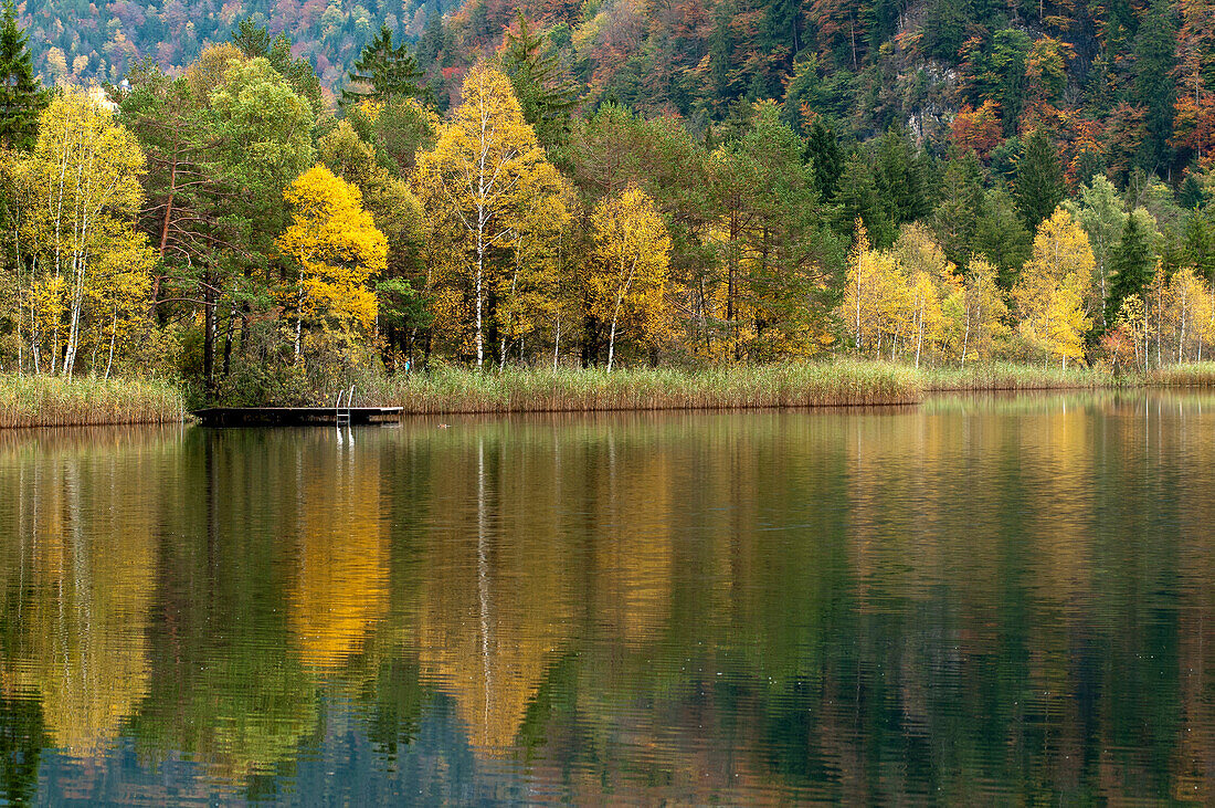 Lake Schwansee in Autumn, Ostallgaeu, Bavaria, Germany
