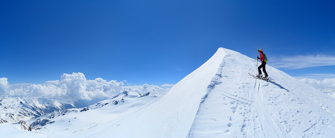 Female backcountry skier at ridge to summit of Monte Cevedale, Ortler range, Trentino-Alto Adige/Suedtirol, Italy