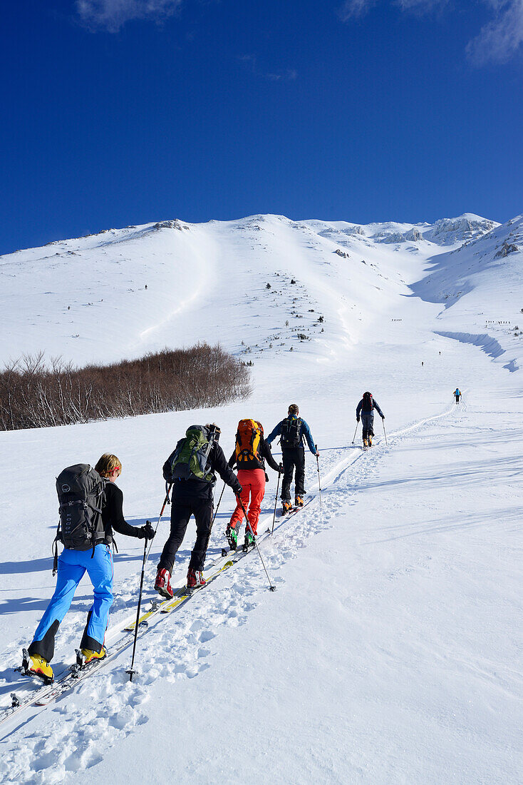 Group of persons back-country skiing ascending Monte Amaro, Rava Giumenta Bianca, Monte Amaro, Majella, Abruzzi, Apennines, l' Aquila, Italy