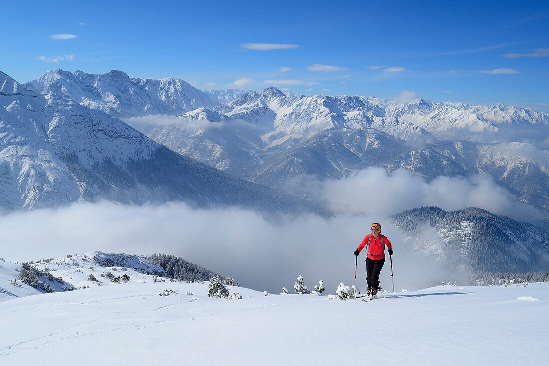 Female backcountry skier ascending to Pleisenspitze, Karwendel Mountains, Tyrol, Austria