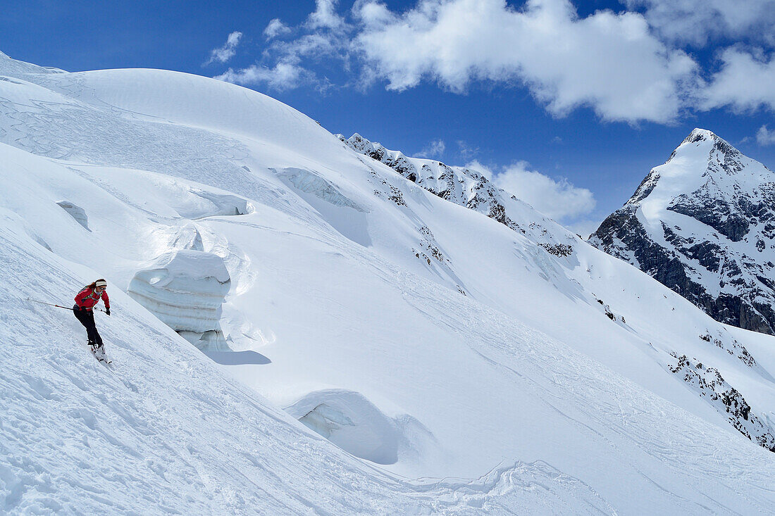 Skitourengeherin fährt vor Königspitze ab, Monte Cevedale, Ortlergruppe, Südtirol, Italien