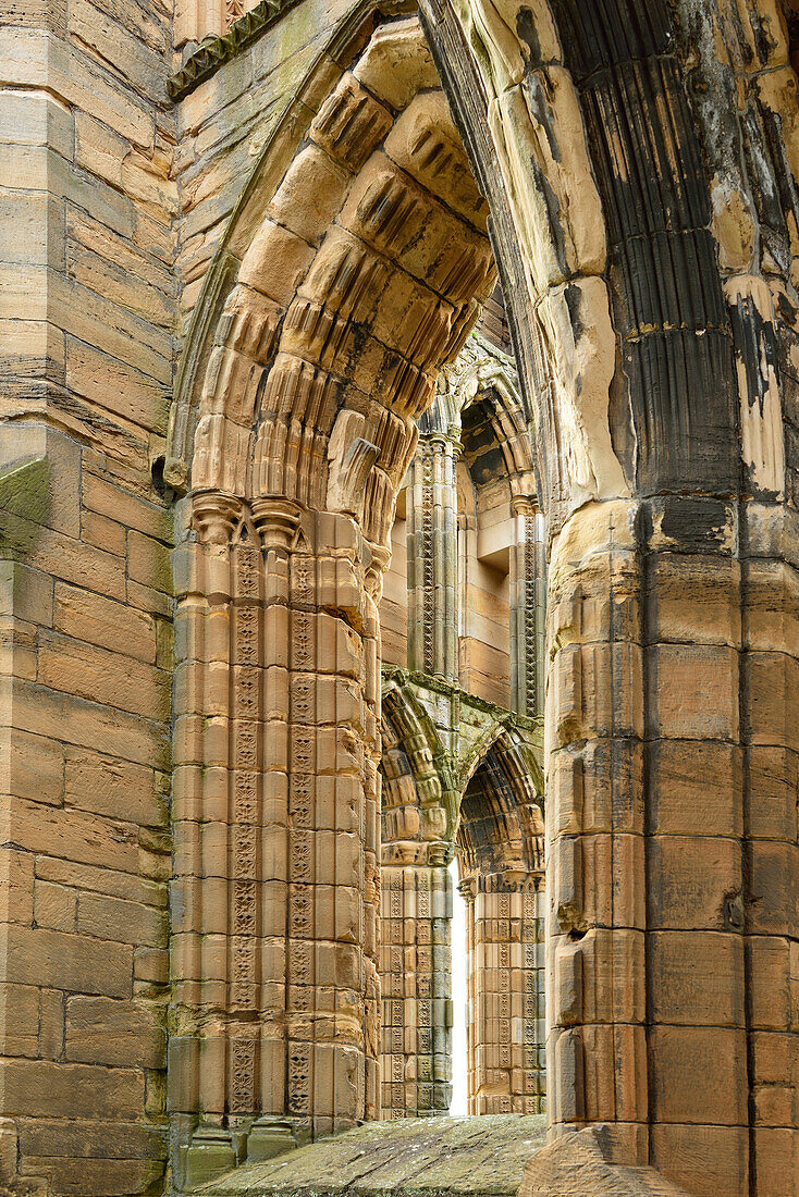 Windows in the ruins of Elgin Cathedral, Elgin, Moray, East Coast, Scotland, Great Britain, United Kingdom
