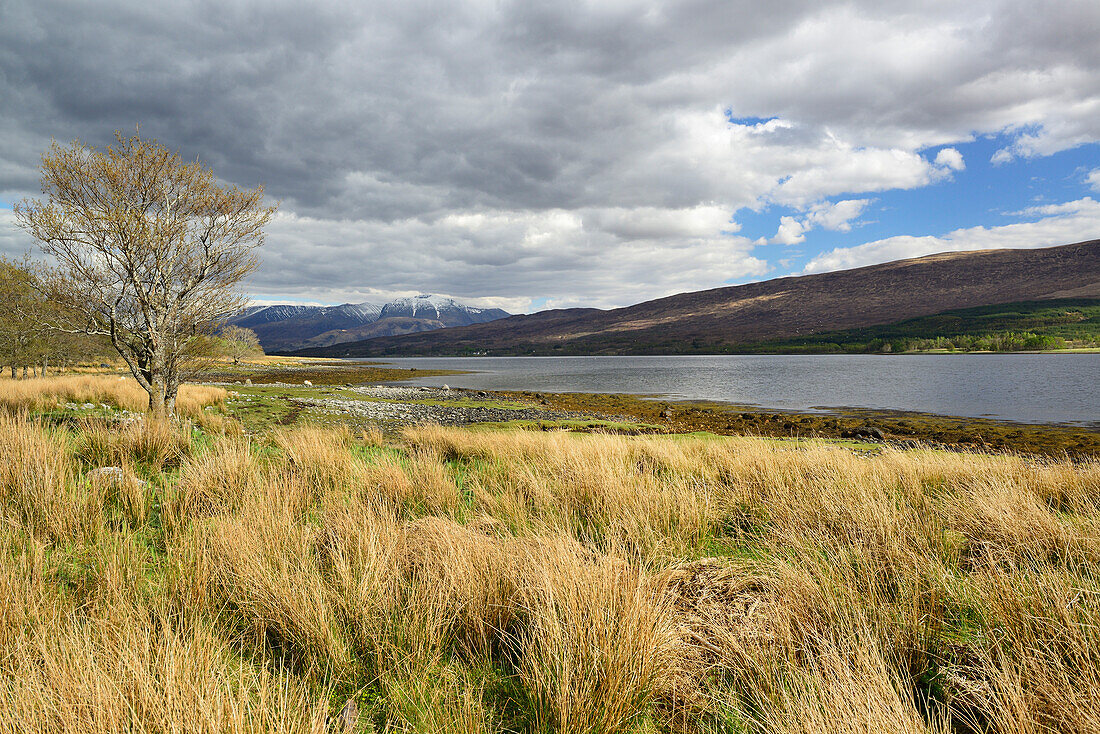 Ben Nevis über Loch Eil, Loch Eil, Highland, Schottland, Großbritannien, Vereinigtes Königreich