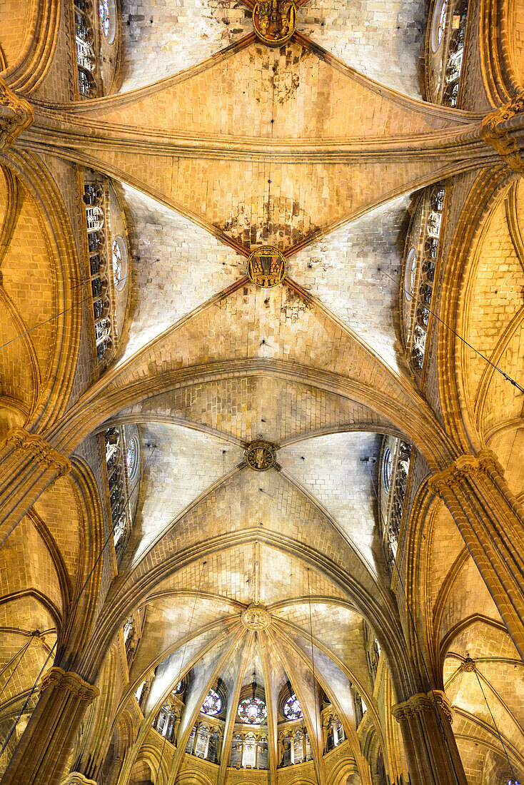 Interior of cathedral, arched roof, La Catedral de la Santa Creu i Santa Eulalia, Gothic architecture, Barri Gotic, Barcelona, Catalonia, Spain